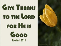 thanks